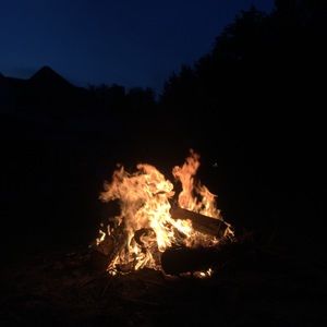 Meet your Posher, Kyley